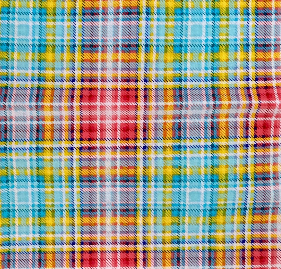 Rainbow checked Fabric