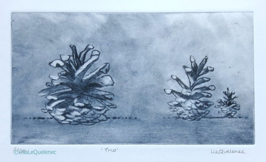 Three pine cones original drypoint in smokey grey forest floor still life