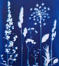 Cyanotype Botanical Print No. 10 - Image 5