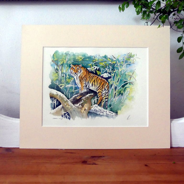 Tiger Original Watercolour Painting Large Cat Fine Art
