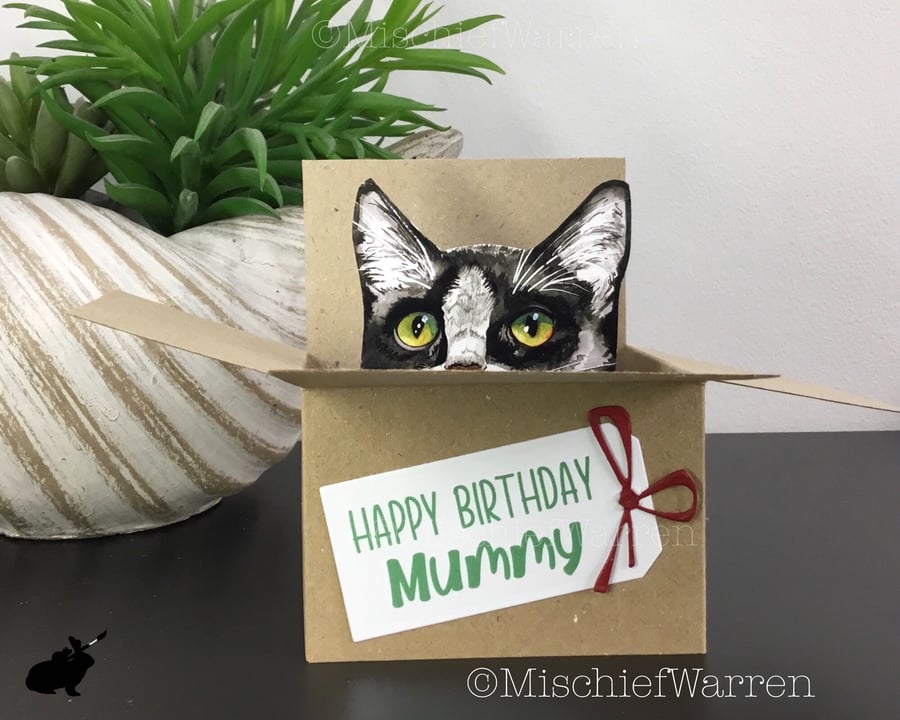 Black & White Cat Card - 3D tuxedo cat box card, personalised for any occasion. 