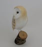 Barn owl - Image 5