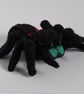 Jumping spider  - Image 2