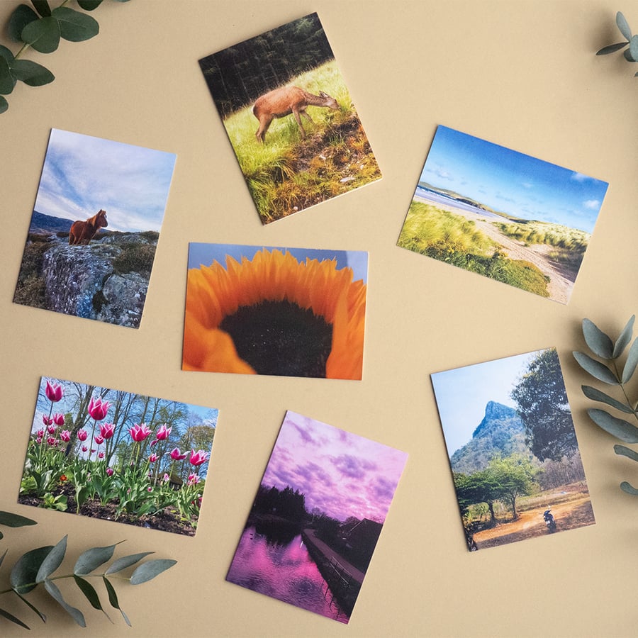 Buy any 3 cards at a discounted price - Landscape Greetings Card - Blank
