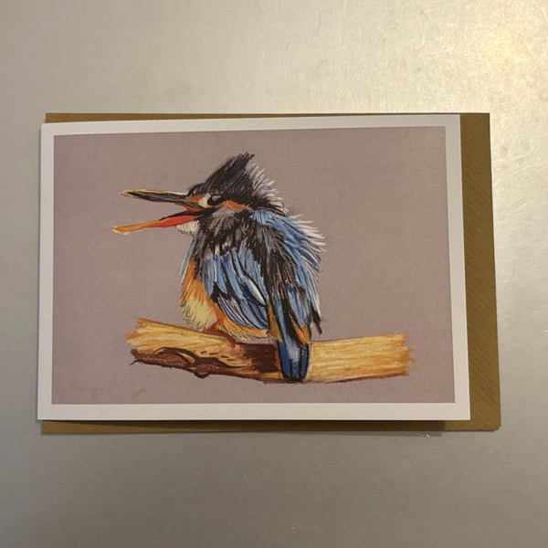 Scruffy Kingfisher A5 Greeting Card