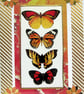 Butterflies - Hand Crafted Decoupage Greeting Card - Blank - 2904 - Image 1