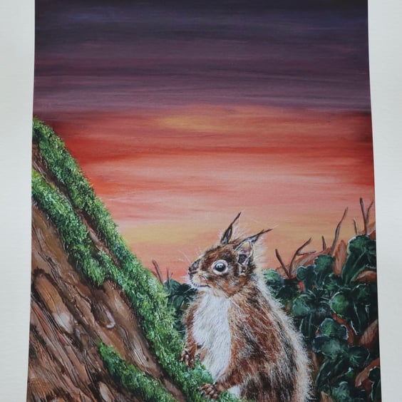 Sunset Red Squirrel Limited Edition Giclee Print