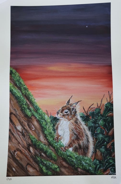 Sunset Red Squirrel Limited Edition Giclee Print