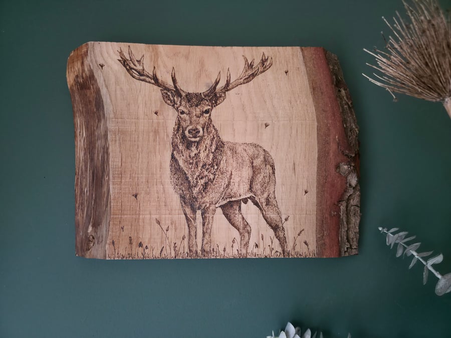 Stag oak board wall hanging
