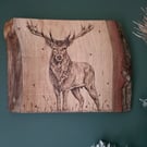 Stag oak board wall hanging