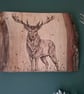 Stag oak board wall hanging