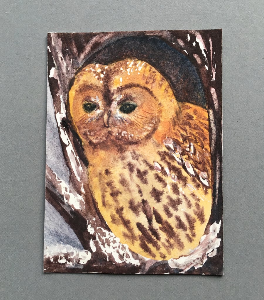 Owl Watch aceo