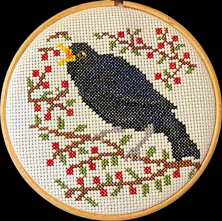 Blackbird in cotoneaster counted cross stitch kit
