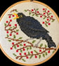 Blackbird in cotoneaster counted cross stitch kit