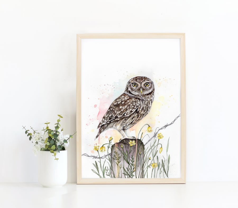 Watercolour Little Owl Illustrated A4 Print