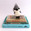 Tufted Titmouse Needlefelted Grey and White Real Bird Tweet