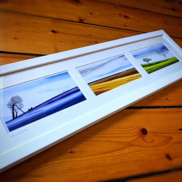 Life In Nature, framed triptych set