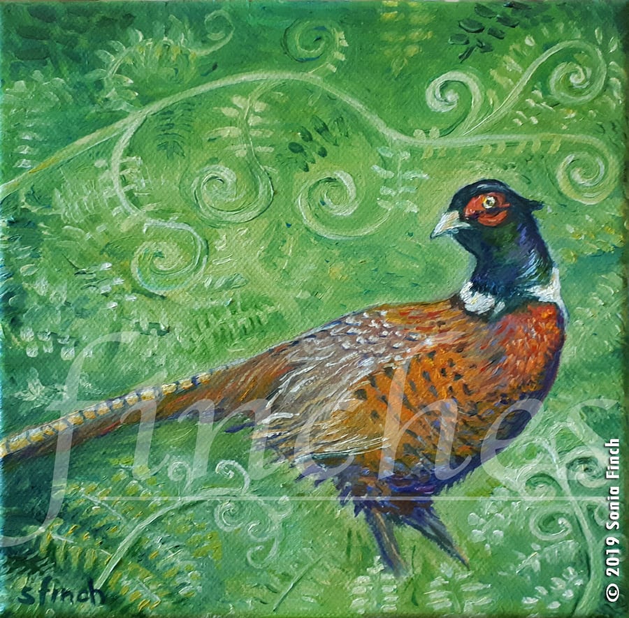 Spirit of Pheasant - Limited Edition Giclée Print