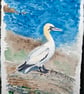 Gannet 1 Original Watercolour Painting