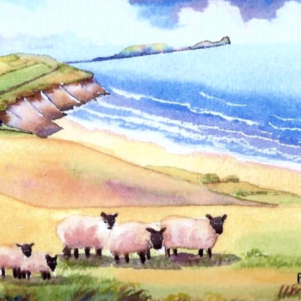 Rhossili Bay, Giwer, Sheep, Watercolour Print, In 8 x 6 '' Mount