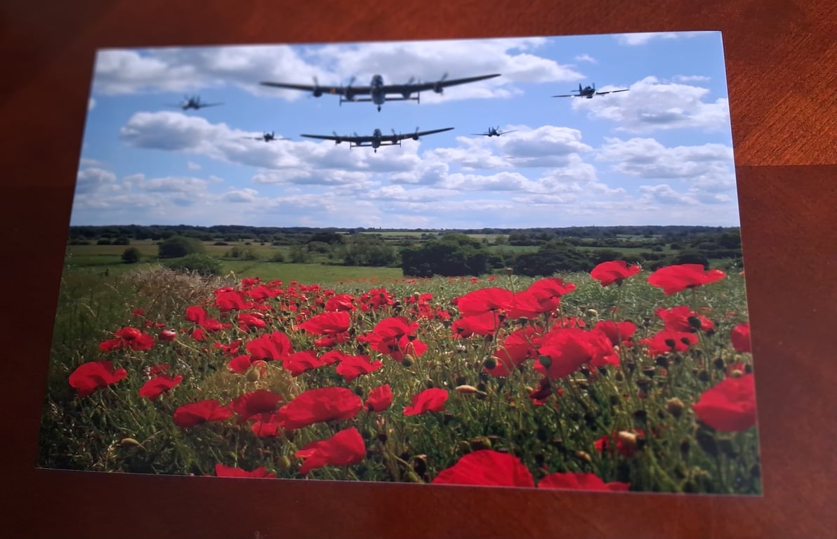 PLANES AND POPPIES