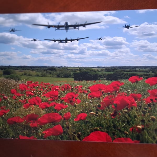 PLANES AND POPPIES