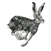 Hare Print A3 Black and white Hare art giclee print