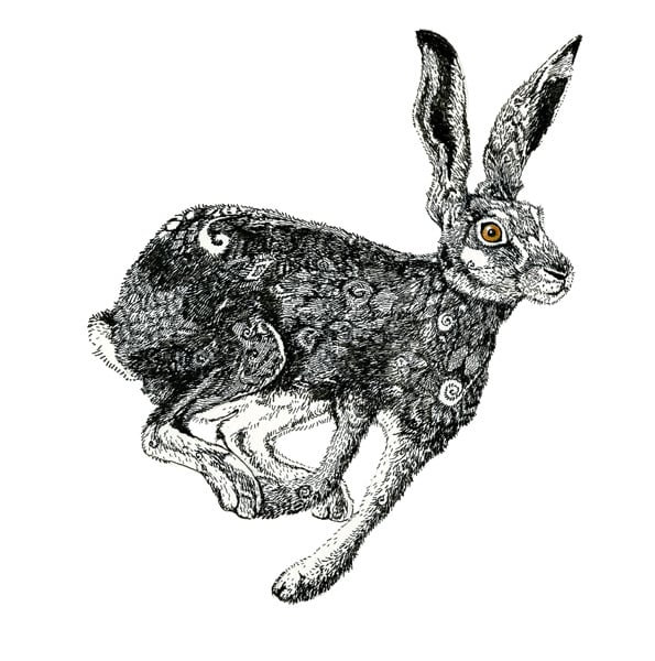 Hare Print A3 Black and white Hare art giclee print