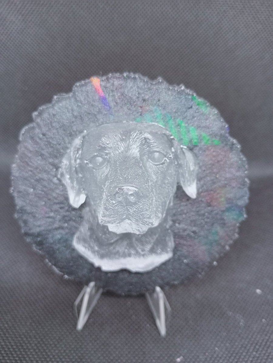 Labrador head plaque