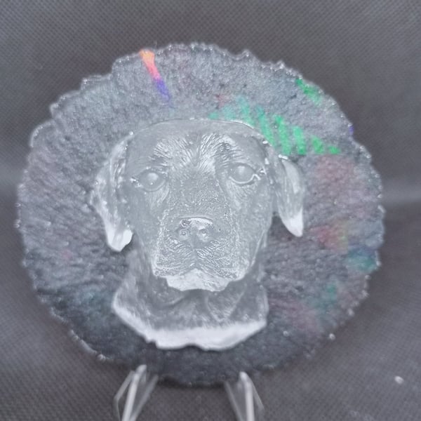 Labrador head plaque