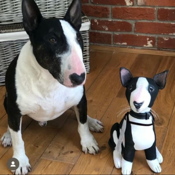 Fully personalised English Bull Terrier