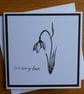 Sending Love Card - Snowdrop - Image 1