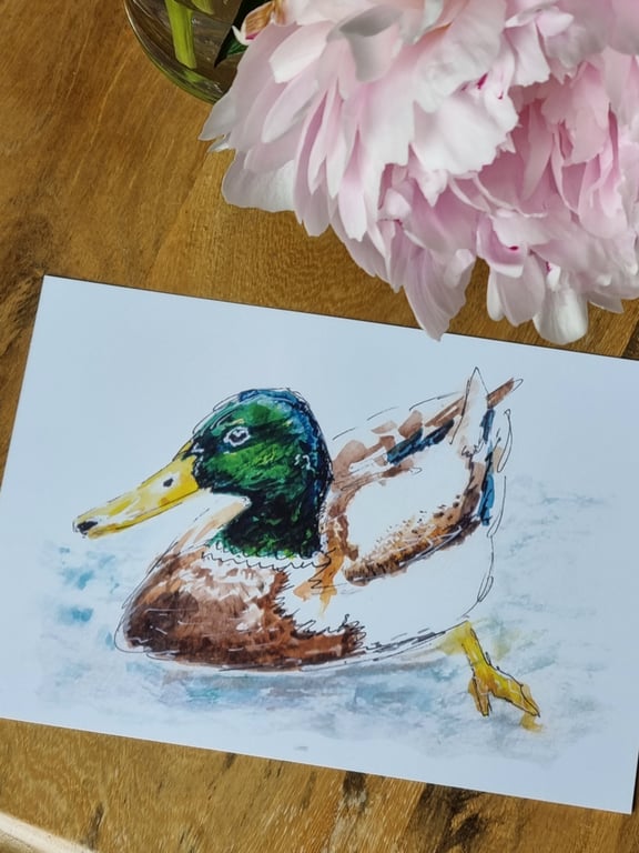 Duck on Water - Fine Art A5 Print