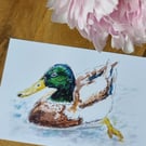 Duck on Water - Fine Art A5 Print