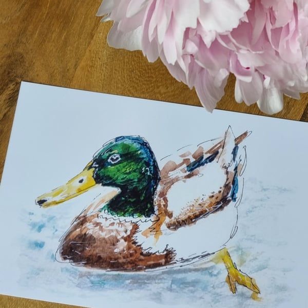 Duck on Water - Fine Art A5 Print