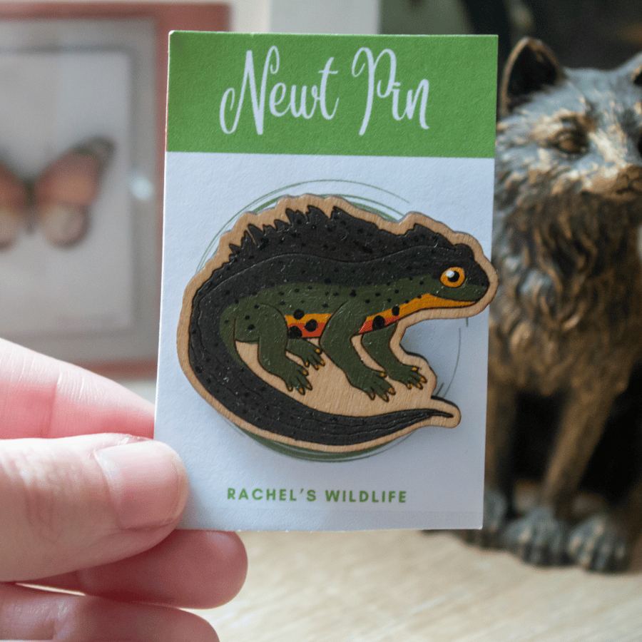 Great Crested Newt Wooden Pin Badge – Hand-Painted Pond Life Brooch