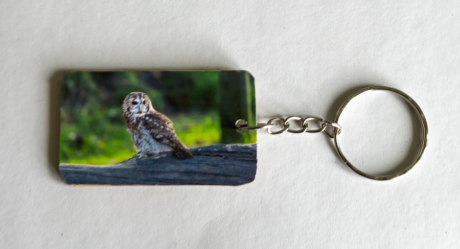 Tawny Owl Wooden Keyring