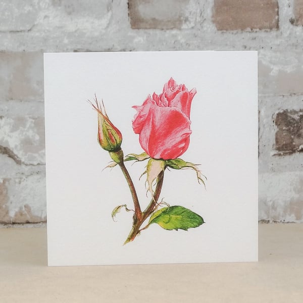 Blank Card Pink Rose Floral Card