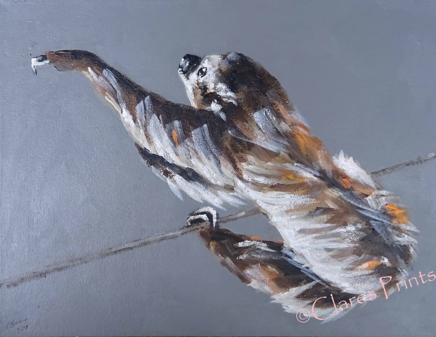 Sloth Reach Painting Art Original Acrylic Animal Painting on Canvas OOAK 
