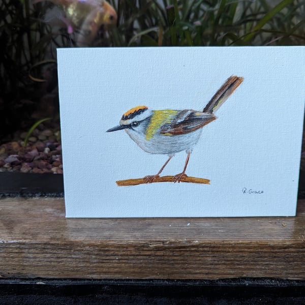 Firecrest Bird Painting