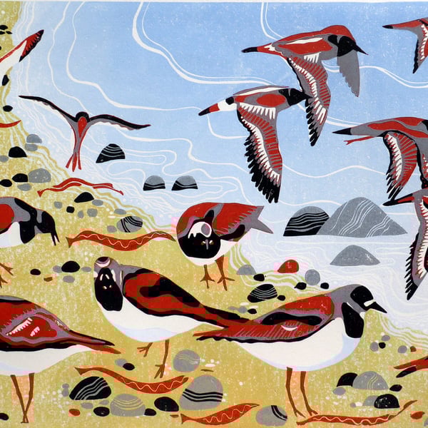 Turnstones LINO PRINT BIRD BEACH HEBRIDES SHORE SEA