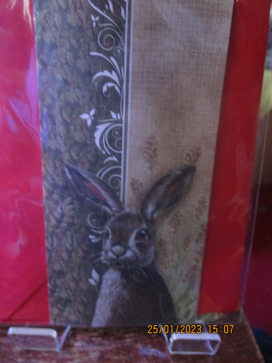 Rabbit General Card