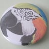 Parrot (parakeet) badge