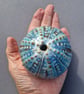 Handmade Pottery Sea Urchin - Image 4