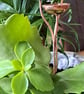 Copper Rain Catcher Garden Sculpture - Image 7