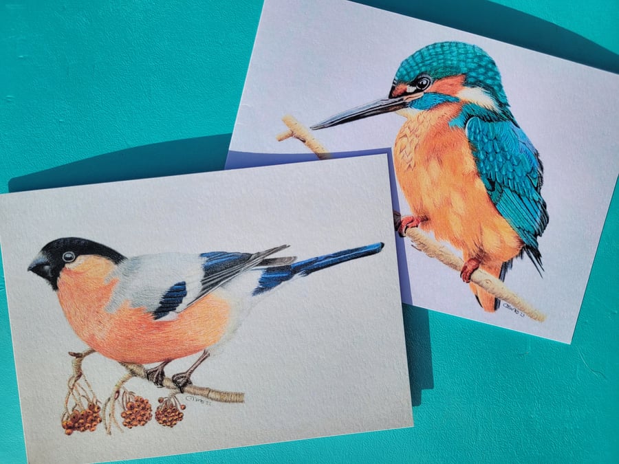 Pack of 10 mixed bullfinch and kingfisher cards. Greetings cards, blank inside.