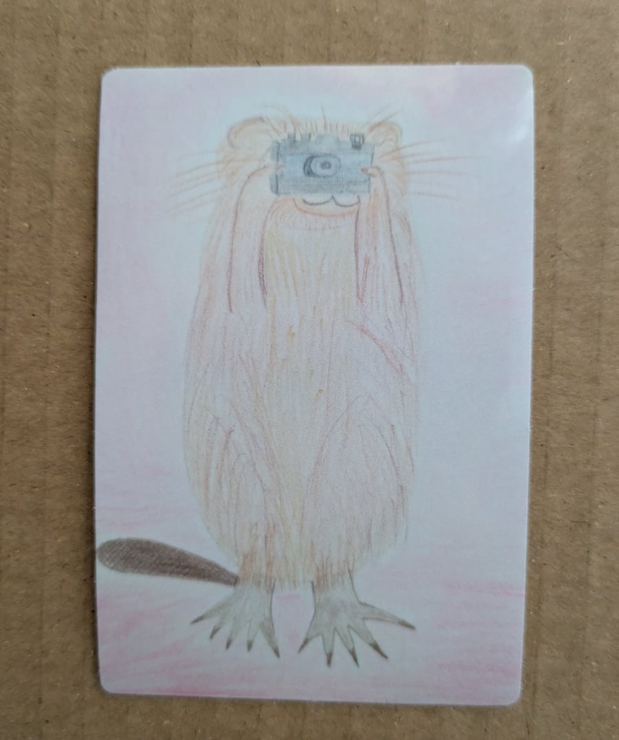 Water vole photographer sticker