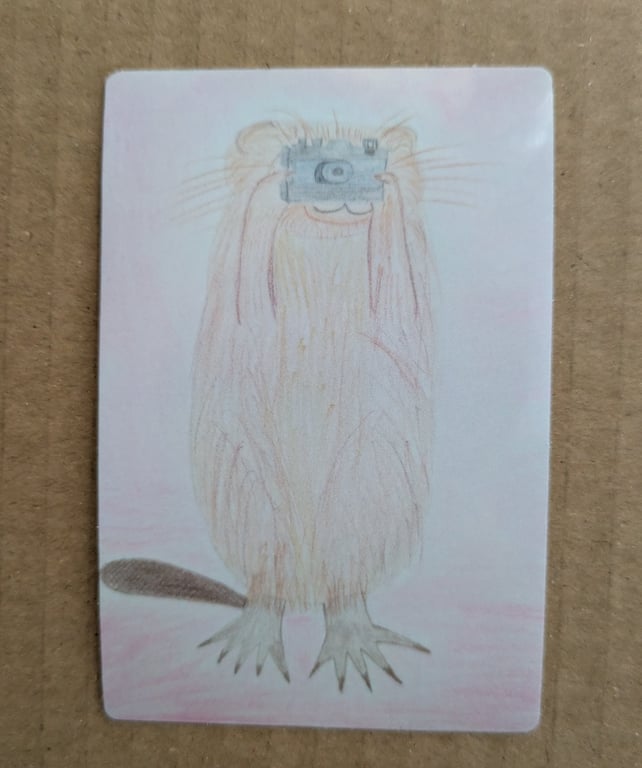 Water vole photographer sticker