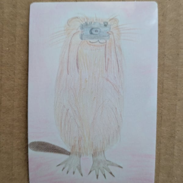 Water vole photographer sticker