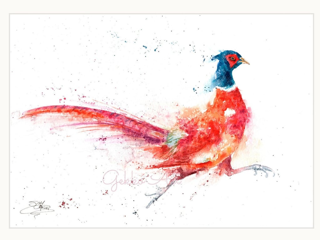 Running Pheasant Leggit. Ltd Edition Fine Art Print from an Original Watercolour